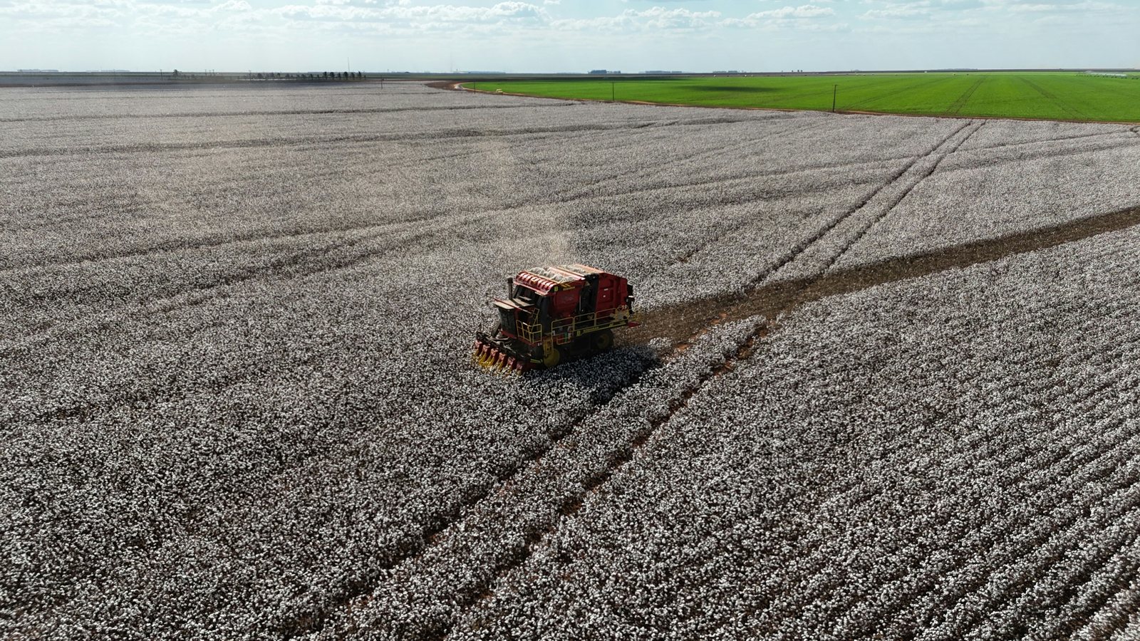Trabajo agrícola en campo