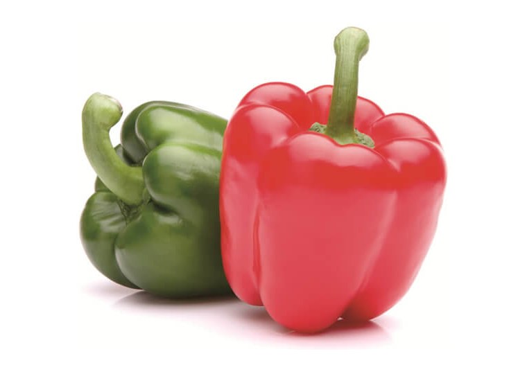 Illustrative crop photograph