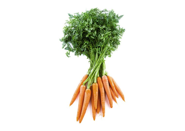 Illustrative crop photograph